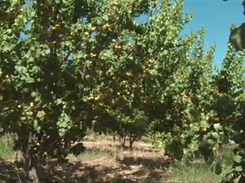 GÜRHAN ÖTÜN - MUT'A DOĞRU (Hayal FotOrg)