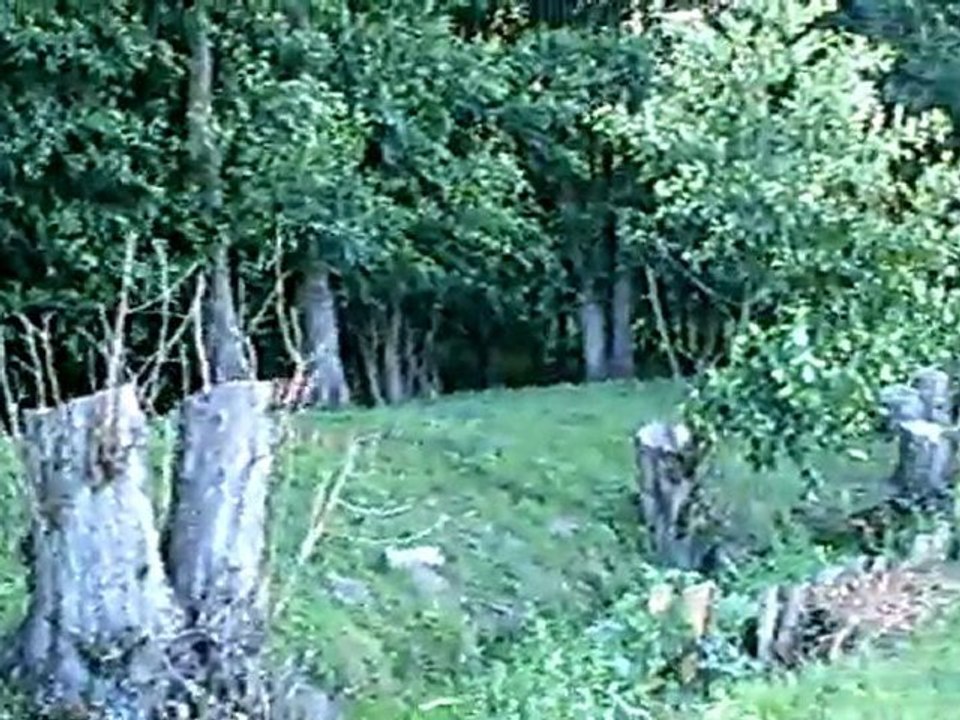 CLIP0219