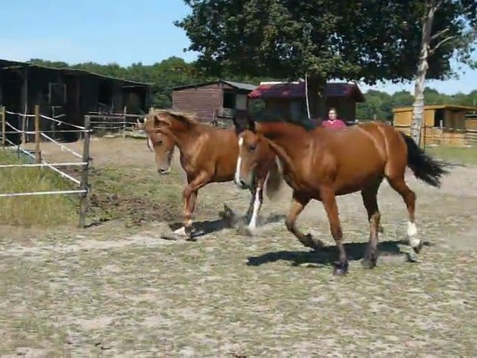 Vodka et Vacaras de May Juillet 2011 6