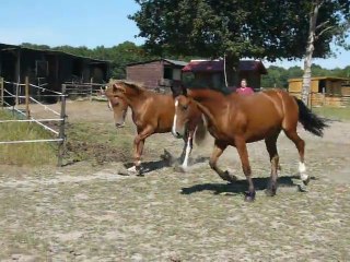 Vodka et Vacaras de May Juillet 2011 6