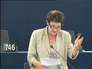 Sarah Ludford on Agency for the management of large-scale IT systems