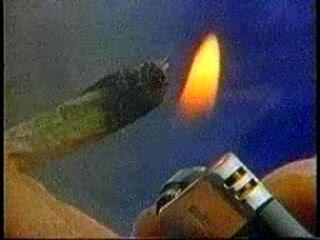 Brujeria - Don Quijote Marihuana