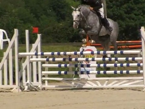 Quinoa Bleu 6ans A Arnas Sauvageonne