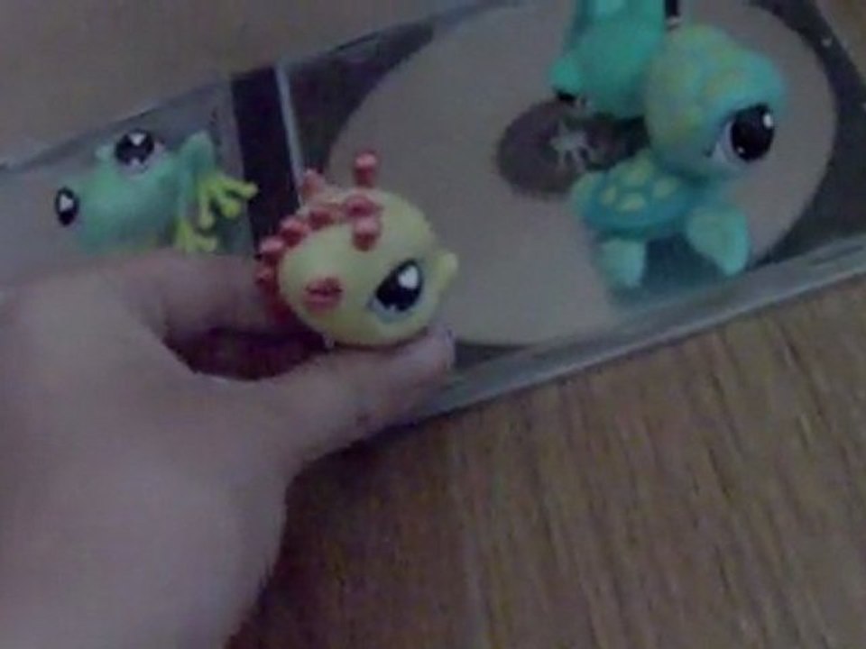 Petshop Miss Summer 2011 partie 1
