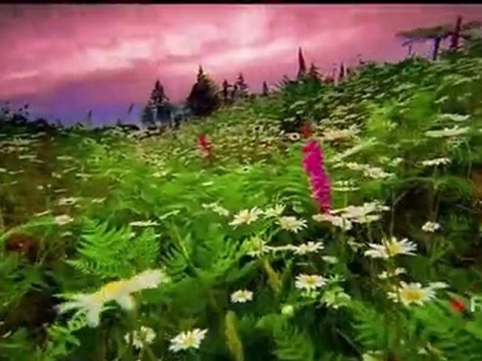 Les Parcs Nationaux: Un Voyage Hors Du Temps  - Les Grands Reportages Imax