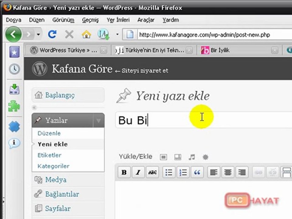 wordpress kurulumu