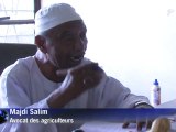 Soudan: les paysans attendent une révolution agricole
