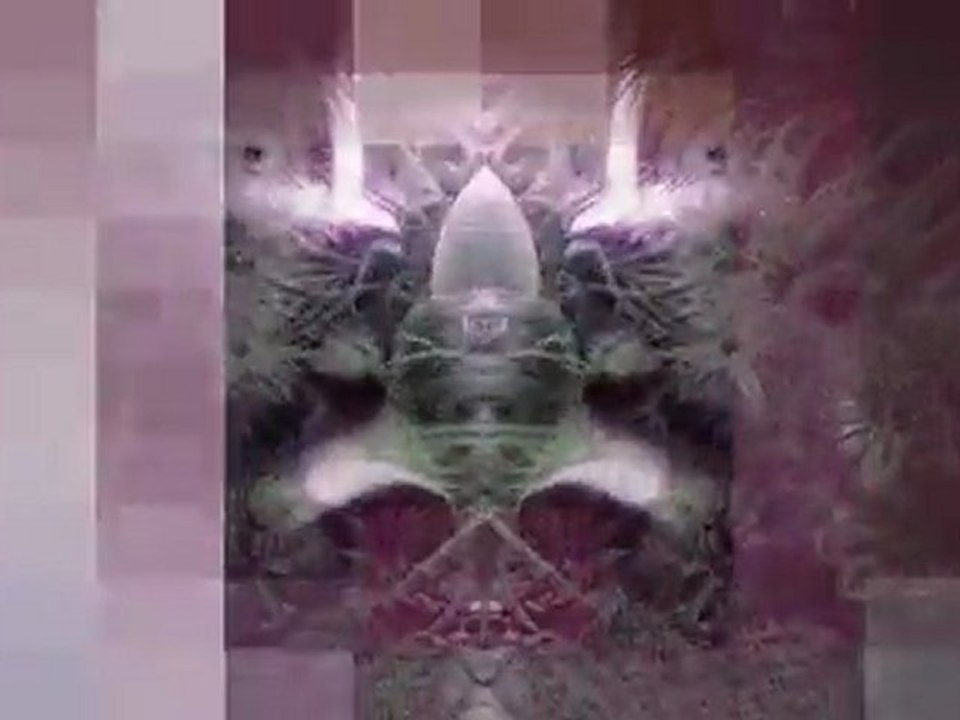Dubstep/Deathstep/Electro  - MIMK