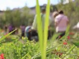 Les Fleurs de Nature Capitale Lyon