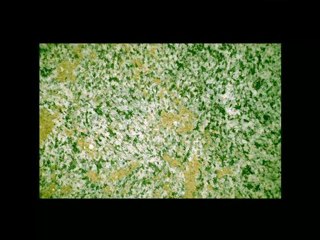 07. The Identification of Minerals