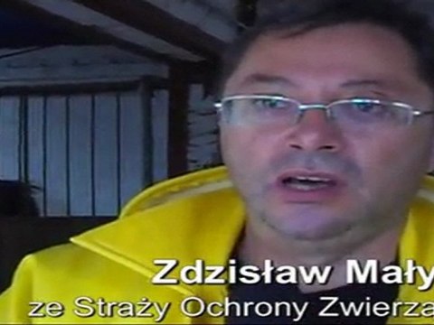 Ranne bociany spod Chełma będą leczone w Lublinie