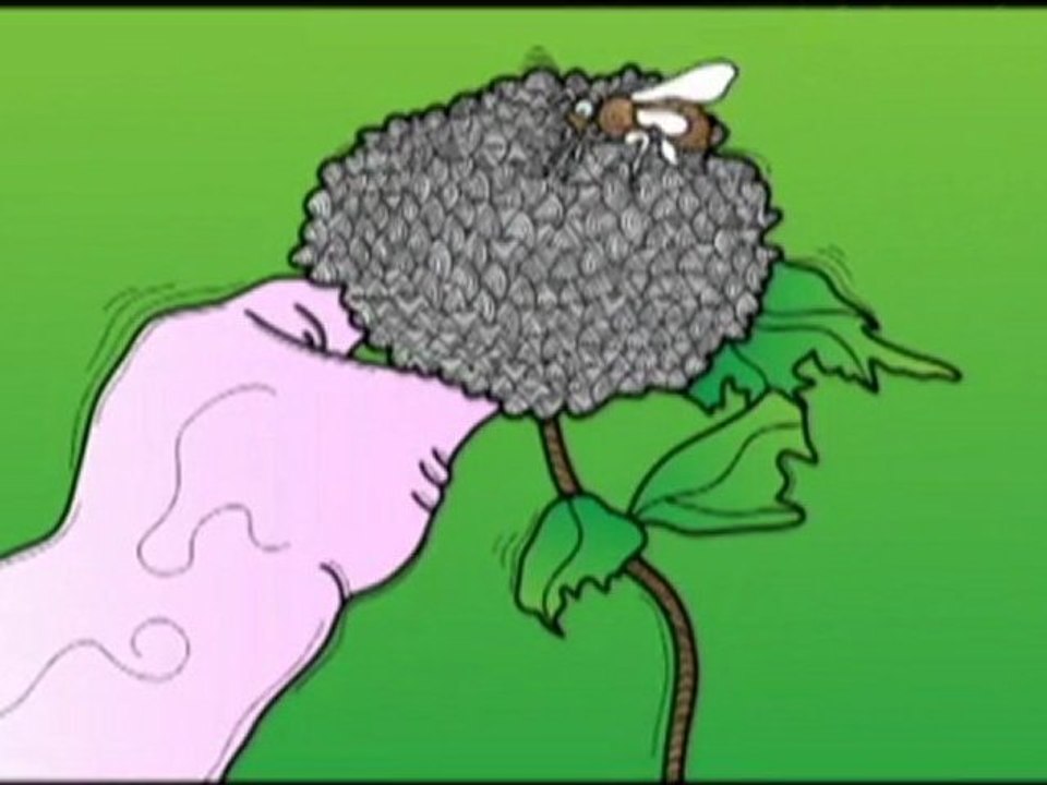 Louis Thur Promenade