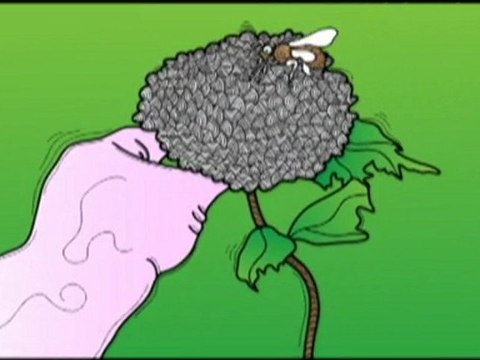 Louis Thur Promenade