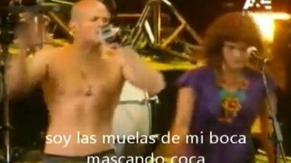 Lationamerica - Calle 13