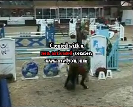 CSO 2008 chute de cheval
