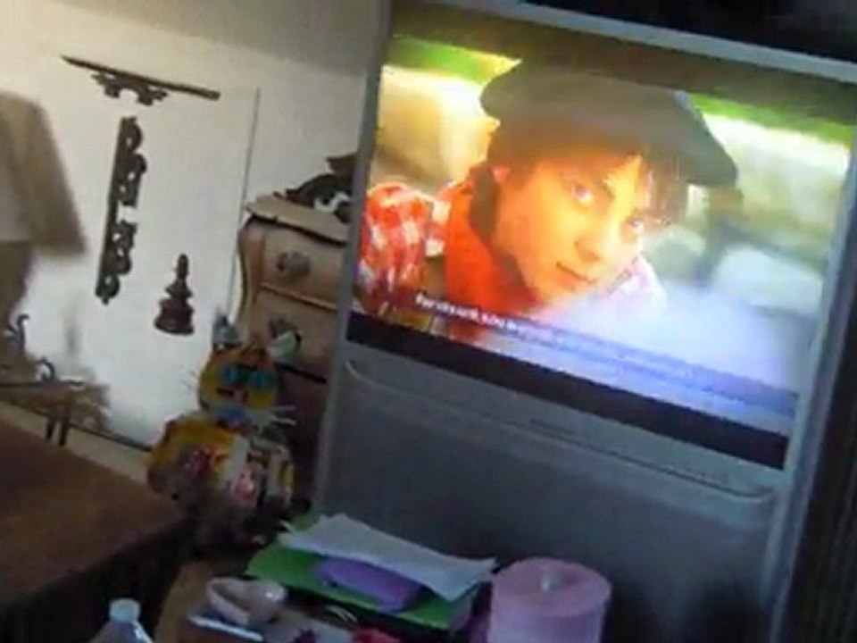 Chat qui regarde la télé