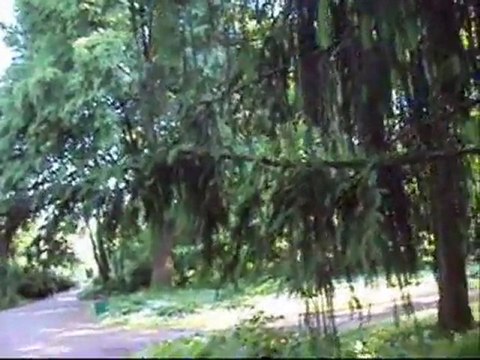 SETUS - S OWA JAK ZY wmv