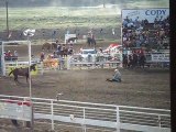 Rodeo #2 (Cody, WY, 4th of July, Stampede Rodeo)