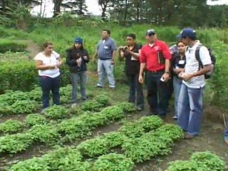 Ruta del Conocimiento: Compartiendo Experiencias para Mejorar Alternativas y Desarrollar Negocios Rurales - thumbnail