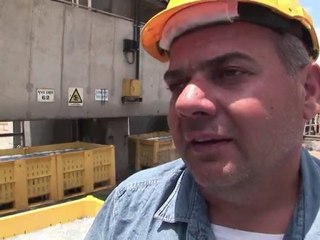 Israël: une centrale électrique menacée par les méduses