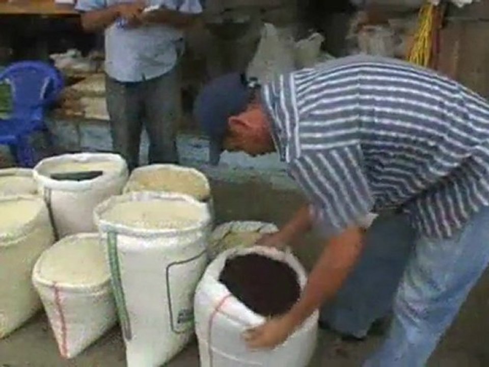 Produccion 2011