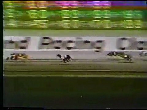 World Classic 1976: Hollywood Florida Greyhound Racetrack