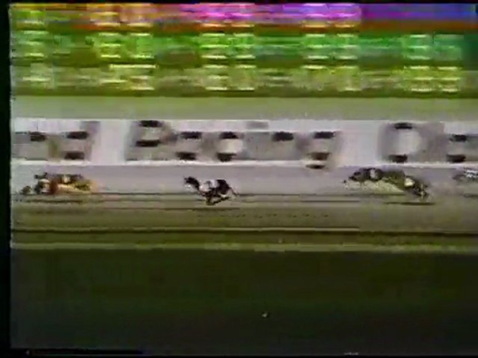 World Classic 1976: Hollywood Florida Greyhound Racetrack