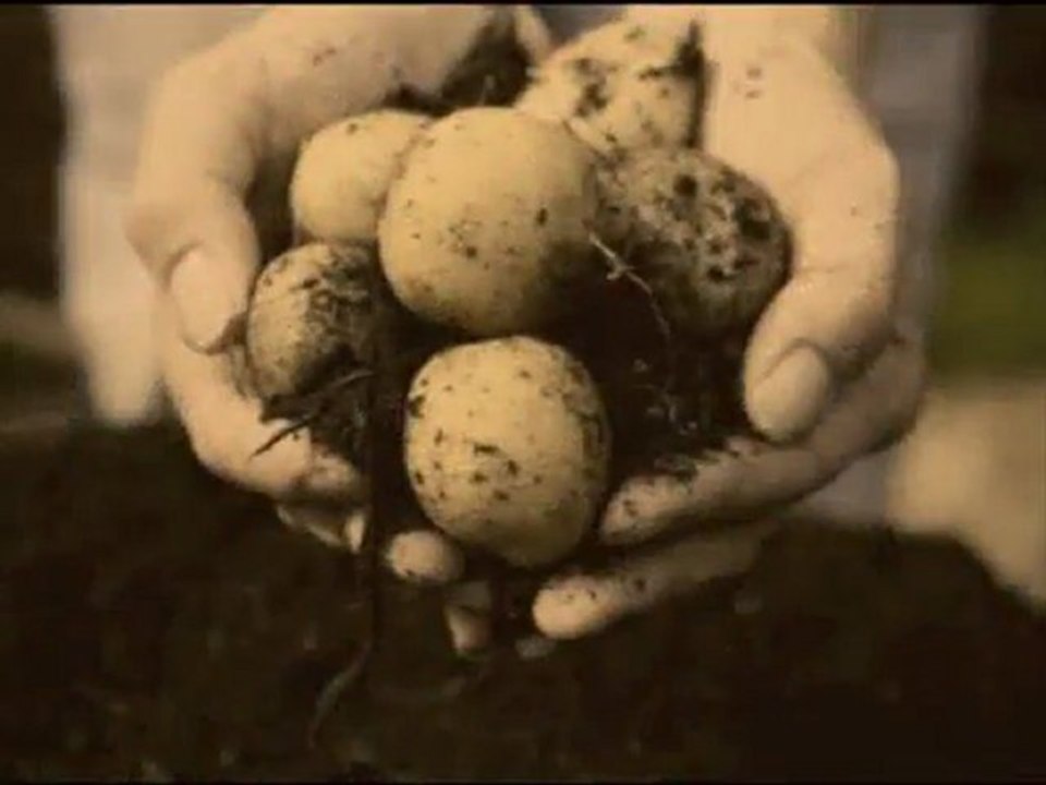 Innocent War - Behind an Immigrant's Past