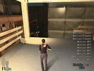 videotest max payne 2
