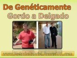 productos naturales para adelgazar - las mejores dietas para adelgazar