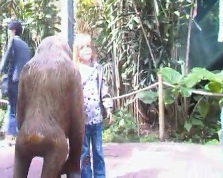 lol le zoo de beauval rire mon seul ami rire angel...