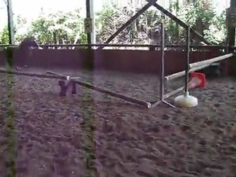 Valse des Londes - 1ère séance obstacle