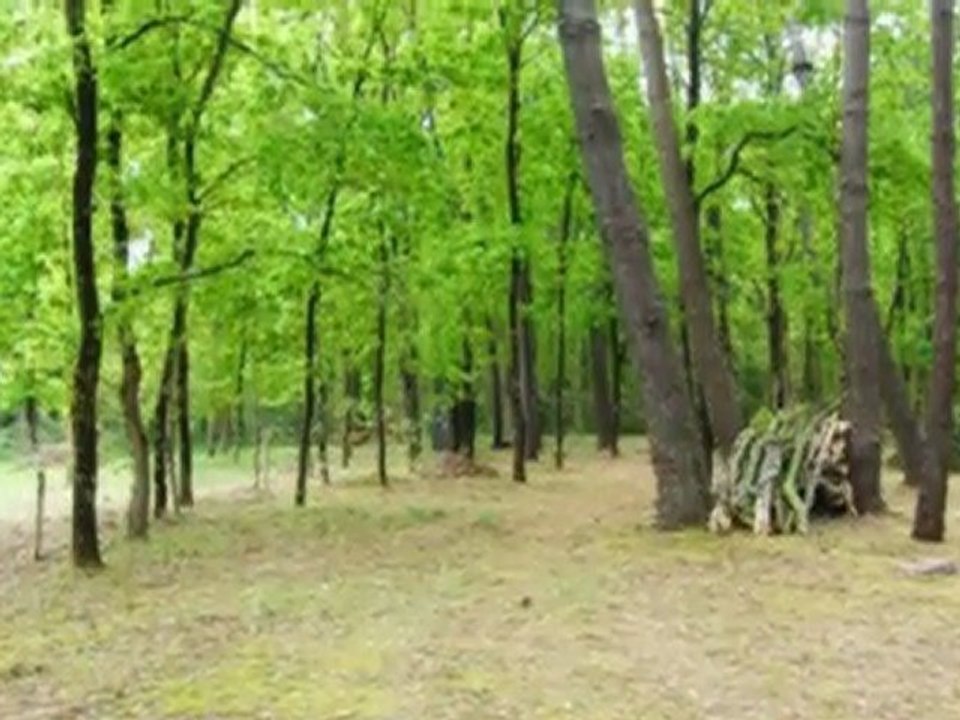 A vendre - Terrain à bâtir - SOULAC SUR MER (33780)