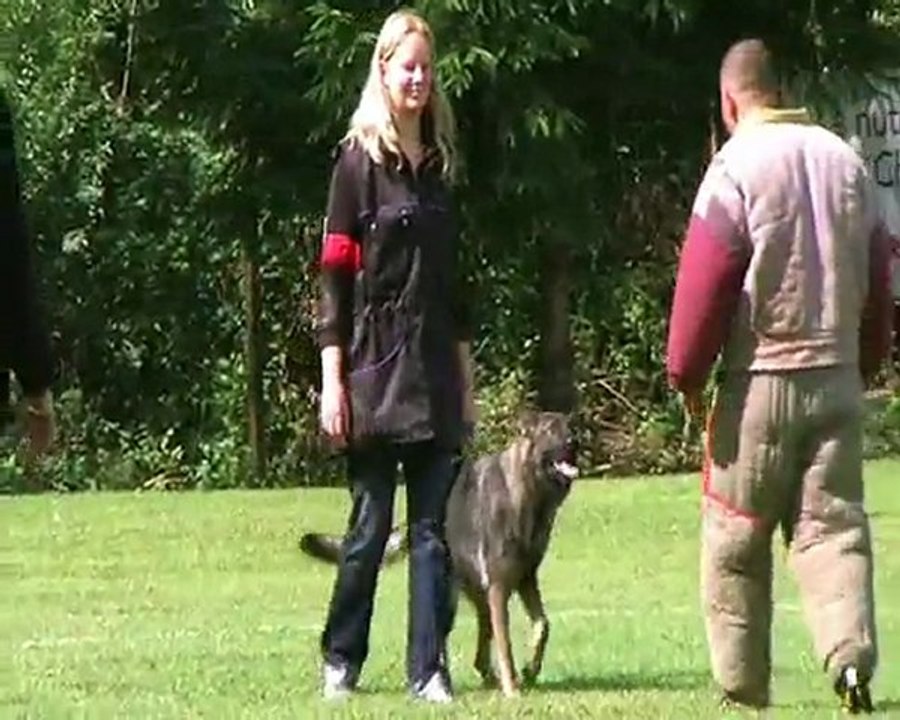 EDENE DE LA CITE DES LOUPS GRIS - NT 2011 MOTHERN