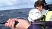 Jigging Fishing Charters in Sydney Video 2- by Sealord Fishing Charters Stdney