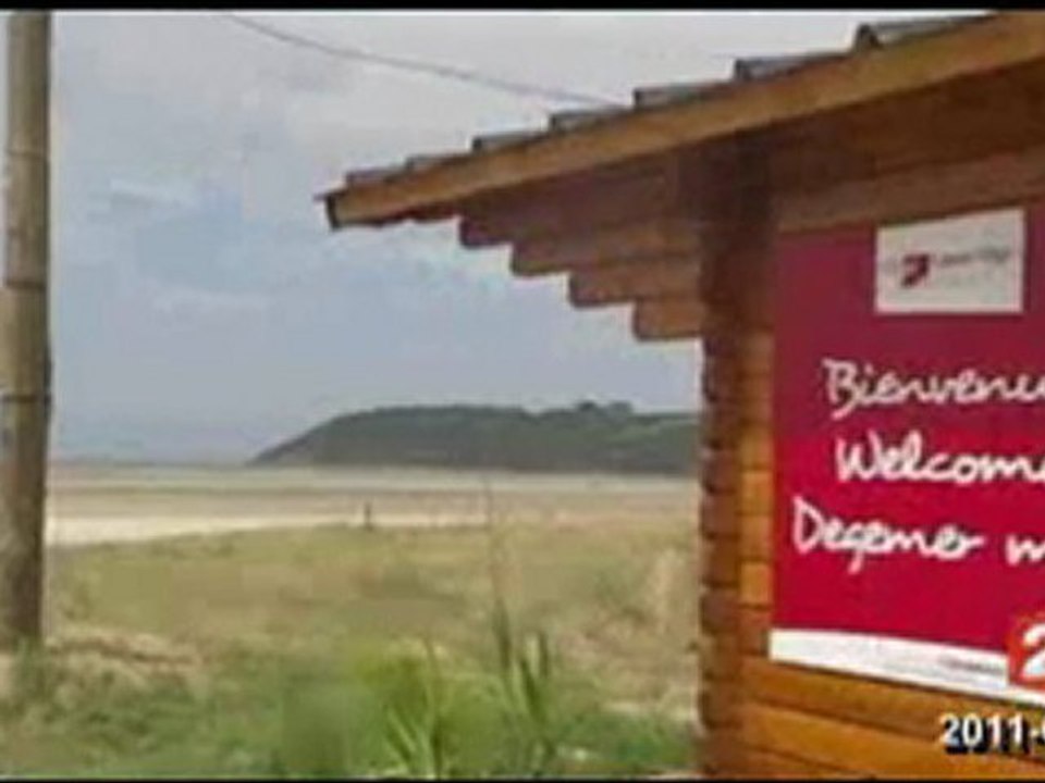 Ramassage d'algues vertes