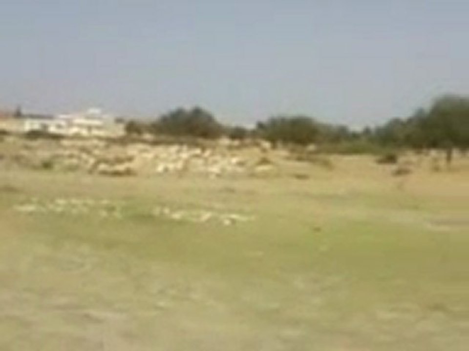 melloulech mahdia tunisie jnan mbelleg 01 juil 2011