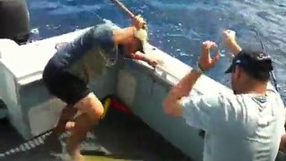 Sport Fishing Charters Sydney-Dolphin Fish-Video 1- by Sealord Charters