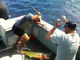 Sport Fishing Charters Sydney-Dolphin Fish-Video 1- by Sealord Charters