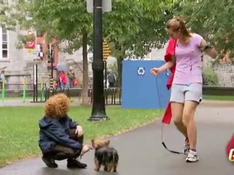 12 - Dog Thieves Prank