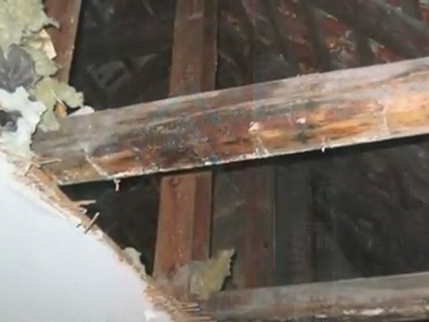 Butiksindretning Kolding Xp3 Interieur ApS