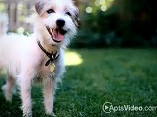 Sage Creek Apartments in Simi Valley, CA - ForRent.com