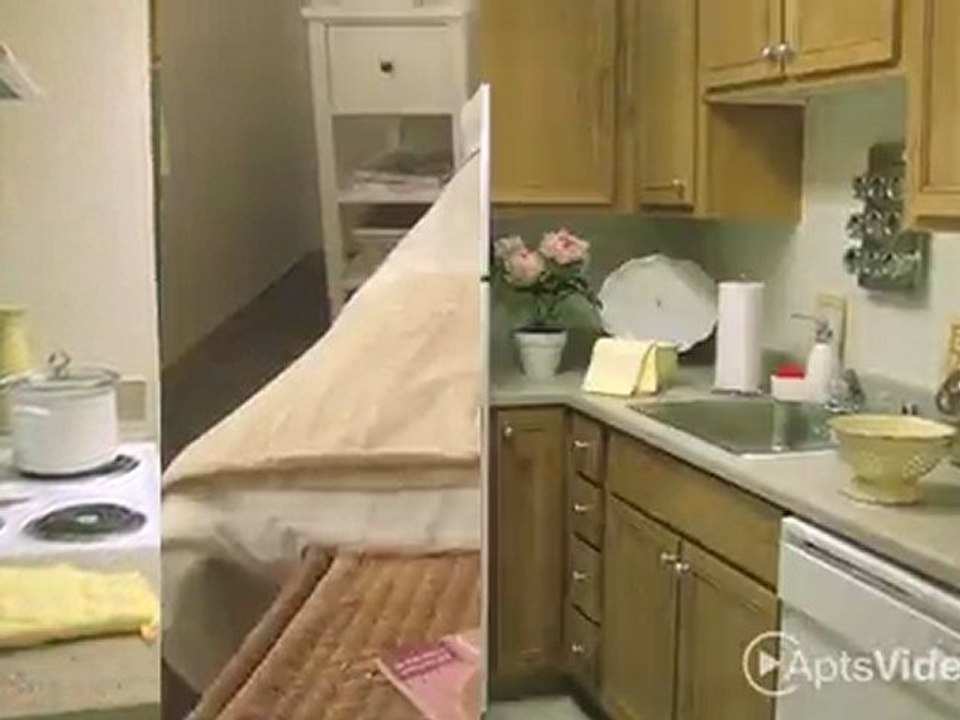 Pacific Arbor Apartments in Tacoma, WA - ForRent.com