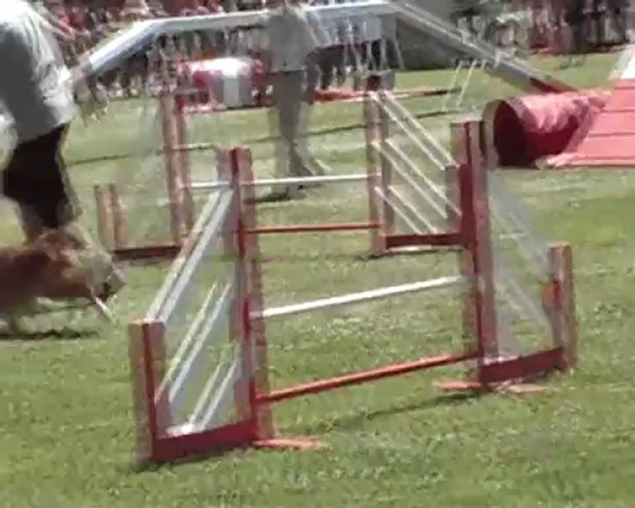 GPF 2011.wmv.AVI