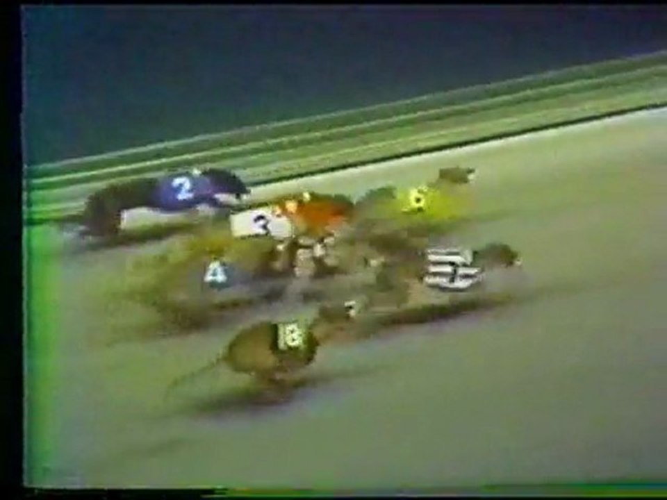 World Classic 1978: Hollywood Florida Greyhound Track