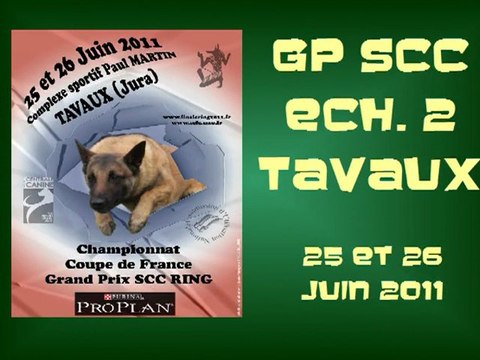 Tavaux Finale Coupe des Clubs 2011 GP SCC Ring 2