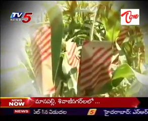 Dangers of Hormones in Vegetables - 02