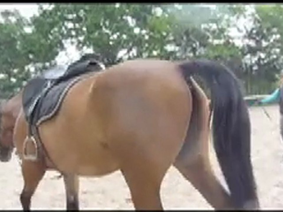 Perlani : Val_longe_090711