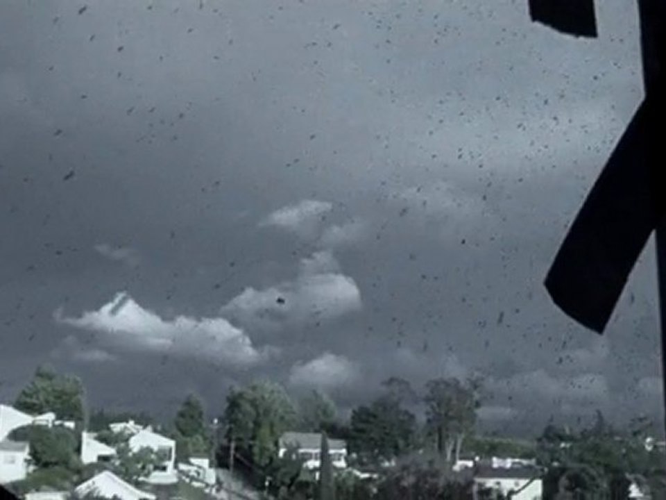 Los Angeles : Alerte maximum  ( bande annonce VF )