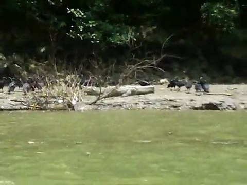 Cañón del Sumidero Tuxtla Gutiérrez Chiapas Mexico 4